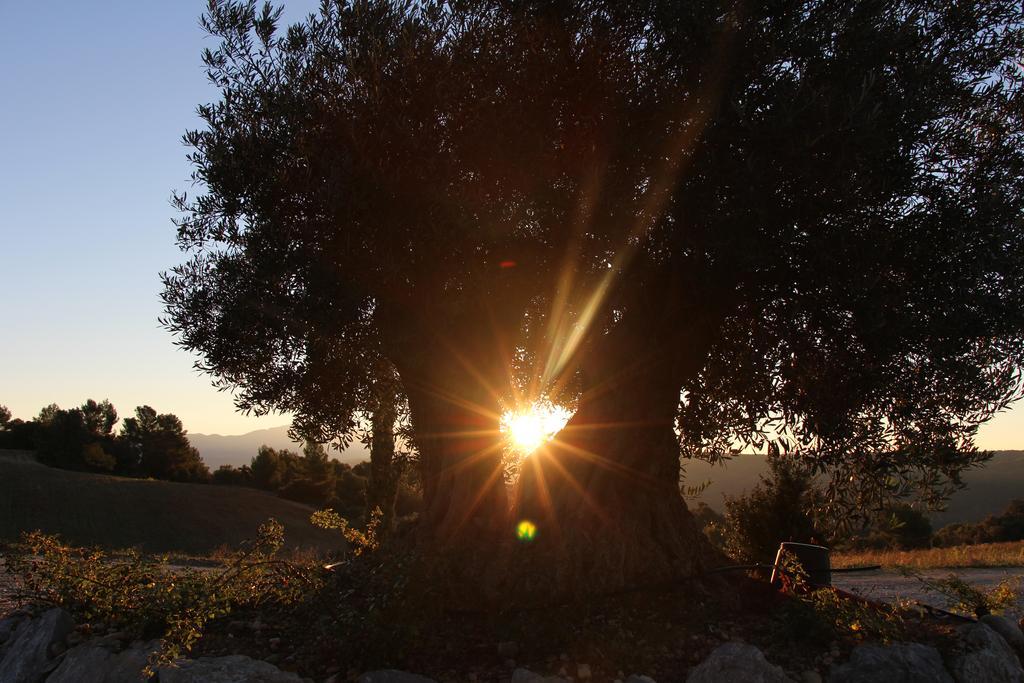 La Campagne De Petre Hotel Entrevennes ภายนอก รูปภาพ